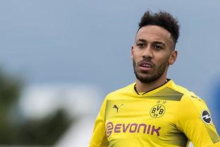 马济奥最新爆料新闻内容,揭秘事件背后惊人真相  第1张